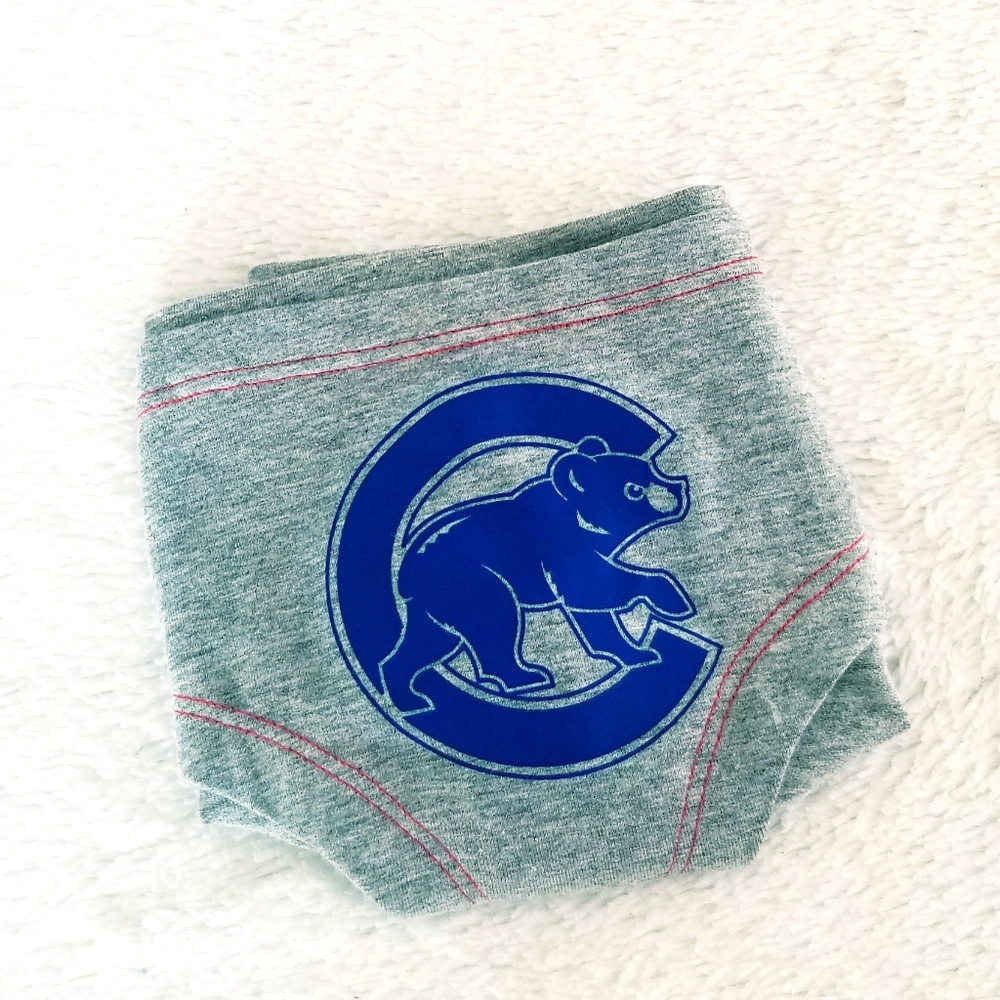 Victoria's Secret PINK Vintage Major League Baseball Chicago Cubs Hipster Panty - Picture 10 of 12